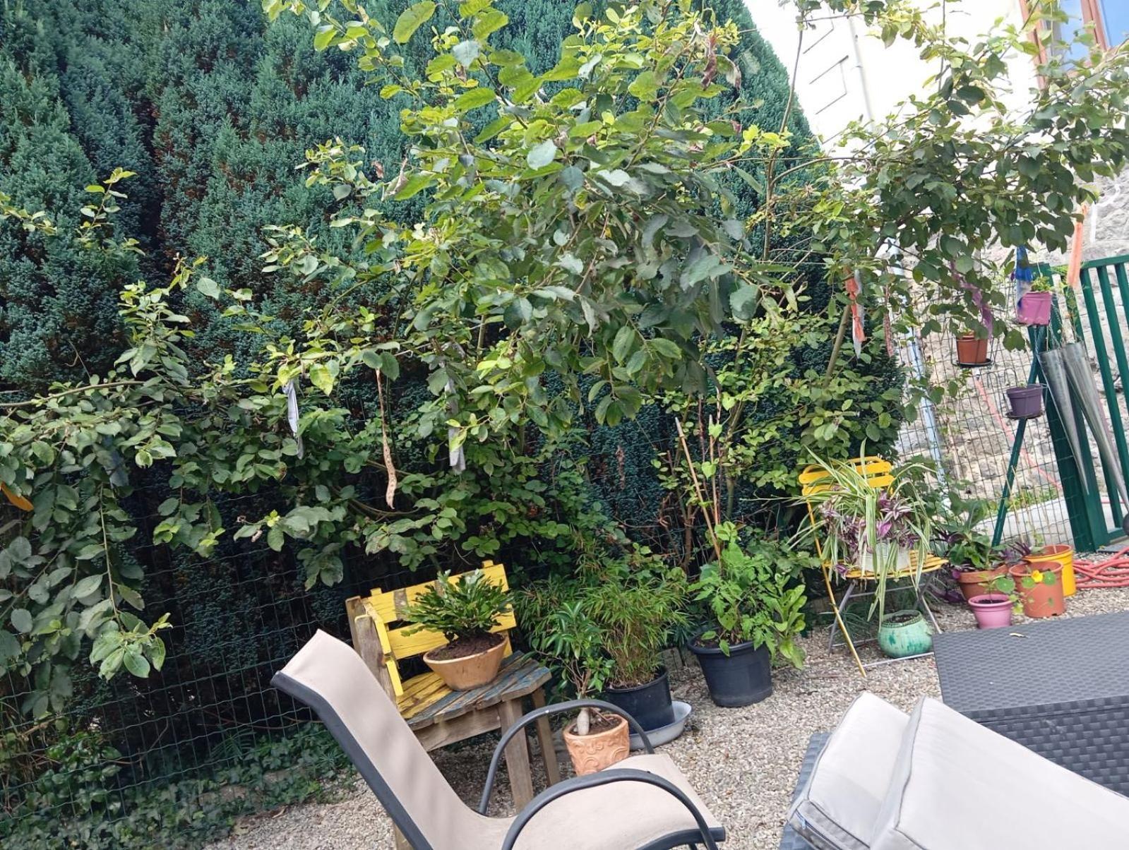 Au Pied Du Gazon Saint-Maurice-sur-Moselle Exterior foto